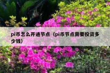 pi币怎么开通节点（pi币节点需要投资多少钱）