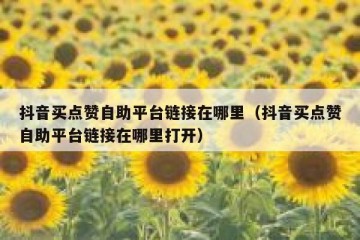 抖音买点赞自助平台链接在哪里（抖音买点赞自助平台链接在哪里打开）