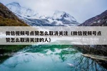 微信视频号点赞怎么取消关注（微信视频号点赞怎么取消关注的人）