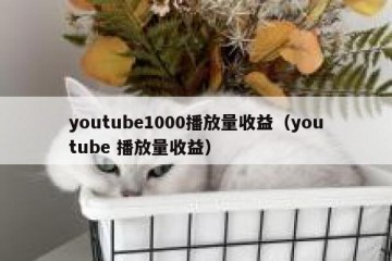 youtube1000播放量收益（youtube 播放量收益）