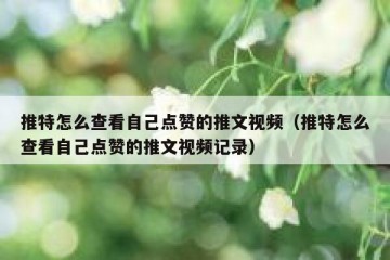 推特怎么查看自己点赞的推文视频（推特怎么查看自己点赞的推文视频记录）