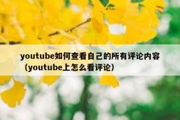 youtube如何查看自己的所有评论内容（youtube上怎么看评论）