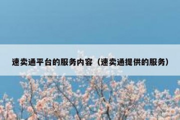 速卖通平台的服务内容（速卖通提供的服务）