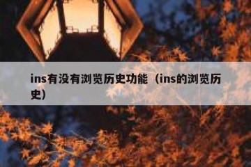 ins有没有浏览历史功能（ins的浏览历史）