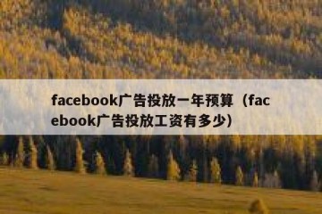 facebook广告投放一年预算（facebook广告投放工资有多少）