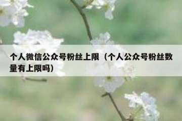 个人微信公众号粉丝上限（个人公众号粉丝数量有上限吗）