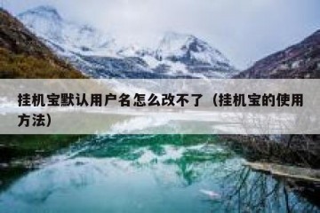 挂机宝默认用户名怎么改不了（挂机宝的使用方法）