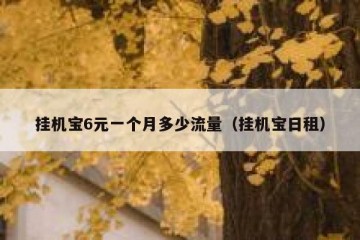挂机宝6元一个月多少流量（挂机宝日租）