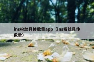 ins粉丝具体数量app（ins粉丝具体数量）