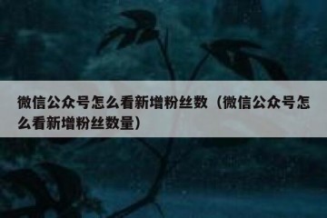 微信公众号怎么看新增粉丝数（微信公众号怎么看新增粉丝数量）
