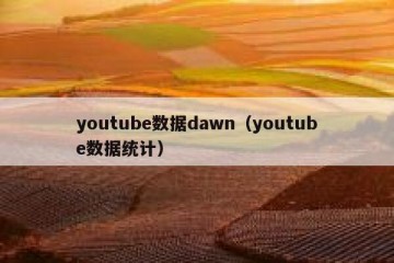 youtube数据dawn（youtube数据统计）