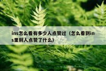 ins怎么看有多少人点赞过（怎么看到ins里别人点赞了什么）