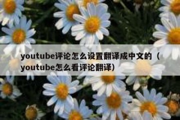 youtube评论怎么设置翻译成中文的（youtube怎么看评论翻译）