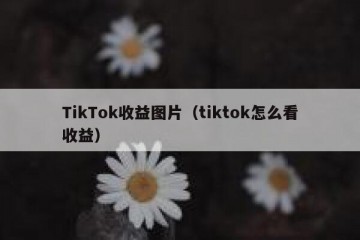 TikTok收益图片（tiktok怎么看收益）