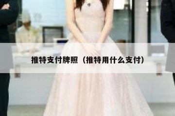 推特支付牌照（推特用什么支付）
