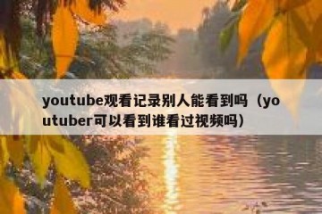 youtube观看记录别人能看到吗（youtuber可以看到谁看过视频吗）