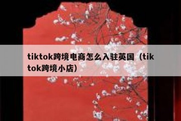 tiktok跨境电商怎么入驻英国（tiktok跨境小店）