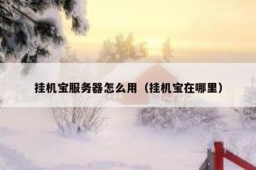 挂机宝服务器怎么用（挂机宝在哪里）