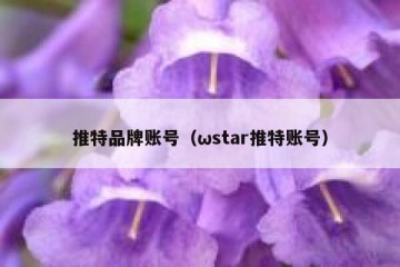 推特品牌账号（ωstar推特账号）