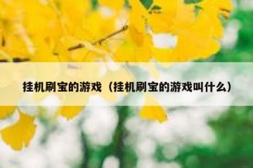 挂机刷宝的游戏（挂机刷宝的游戏叫什么）