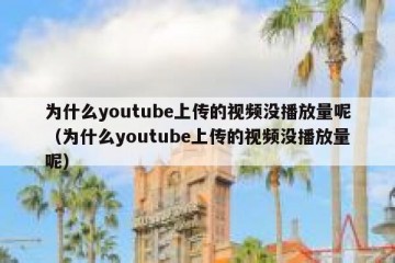 为什么youtube上传的视频没播放量呢（为什么youtube上传的视频没播放量呢）
