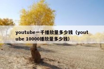 youtube一千播放量多少钱（youtube 10000播放量多少钱）