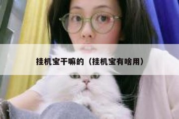 挂机宝干嘛的（挂机宝有啥用）