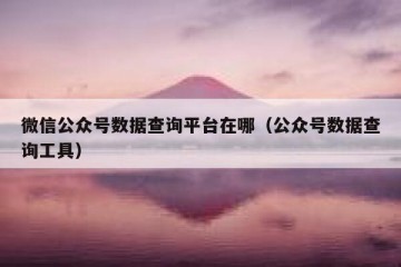 微信公众号数据查询平台在哪（公众号数据查询工具）