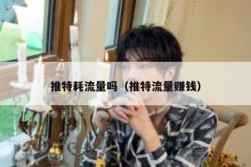 推特耗流量吗（推特流量赚钱）