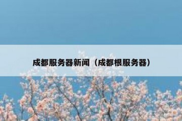 成都服务器新闻（成都根服务器）