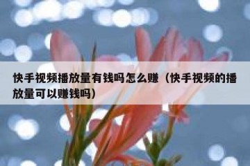快手视频播放量有钱吗怎么赚（快手视频的播放量可以赚钱吗）