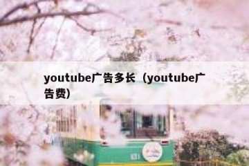 youtube广告多长（youtube广告费）