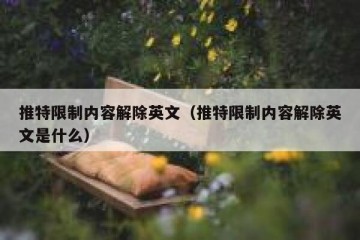 推特限制内容解除英文（推特限制内容解除英文是什么）