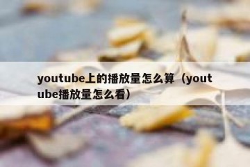 youtube上的播放量怎么算（youtube播放量怎么看）