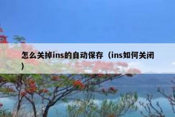 怎么关掉ins的自动保存（ins如何关闭）