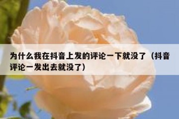 为什么我在抖音上发的评论一下就没了（抖音评论一发出去就没了）