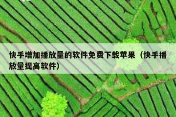 快手增加播放量的软件免费下载苹果（快手播放量提高软件）