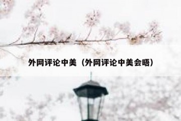 外网评论中美（外网评论中美会晤）