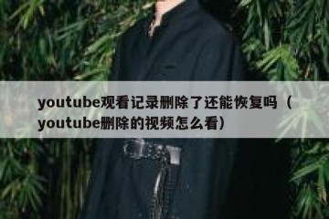 youtube观看记录删除了还能恢复吗（youtube删除的视频怎么看）
