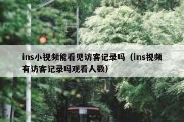 ins小视频能看见访客记录吗（ins视频有访客记录吗观看人数）