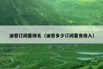 油管订阅量排名（油管多少订阅量有收入）