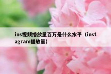 ins视频播放量百万是什么水平（instagram播放量）