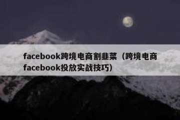 facebook跨境电商割韭菜（跨境电商facebook投放实战技巧）