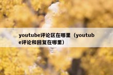 youtube评论区在哪里（youtube评论和回复在哪里）