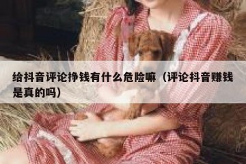 给抖音评论挣钱有什么危险嘛（评论抖音赚钱是真的吗）