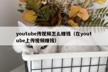 youtube传视频怎么赚钱（在youtube上传视频赚钱）