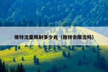 推特流量限制多少兆（推特会限流吗）