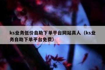 ks业务低价自助下单平台网站真人（ks业务自助下单平台免费）