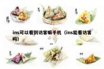 ins可以看到访客嘛手机（ins能看访客吗）