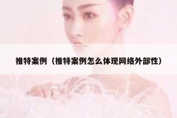 推特案例（推特案例怎么体现网络外部性）
